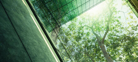 Taking sustainability into the boardroom Corporate sustainability should be at the heart of boardroom activity, says Zoi Kontodimou, Chair of the CQI’s Sustainability special interest group and Corporate Sustainability PhD Researcher.